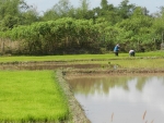 Laos