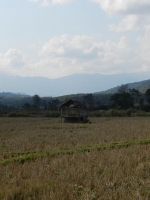 Laos